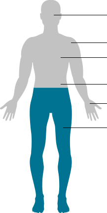 human body